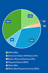 Phase I: DFA Borrowers by Race/Ethnicity